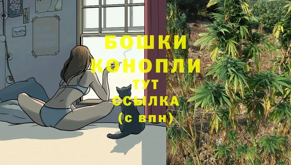 прущий лед Елизово